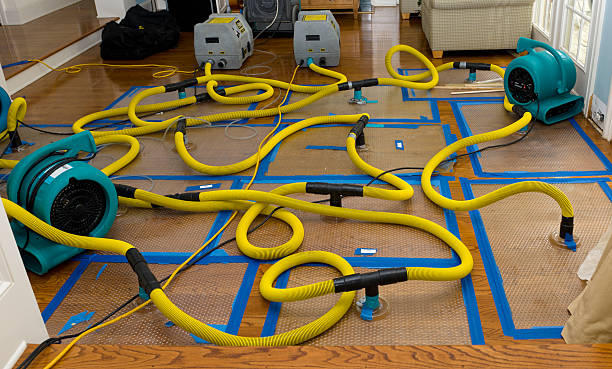 Professional Storm Water Damage Restoration technician working in Sparta, MO